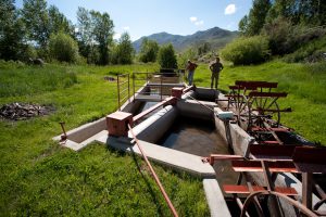 Jude Trapani at a permanent water diversion and fish screen on the East Fork of the Salmon River