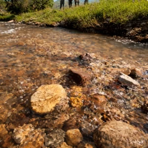Clear stream with rocks and pebbles, grassy bank, three silhouetted people in the background.