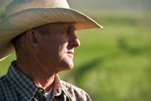 Man in a straw hat and plaid shirt gazing over a green field.