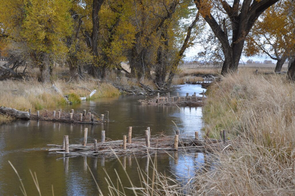Stream with tree-lined banks, wooden structures, and autumn foliage.