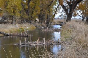 Stream with tree-lined banks, wooden structures, and autumn foliage.