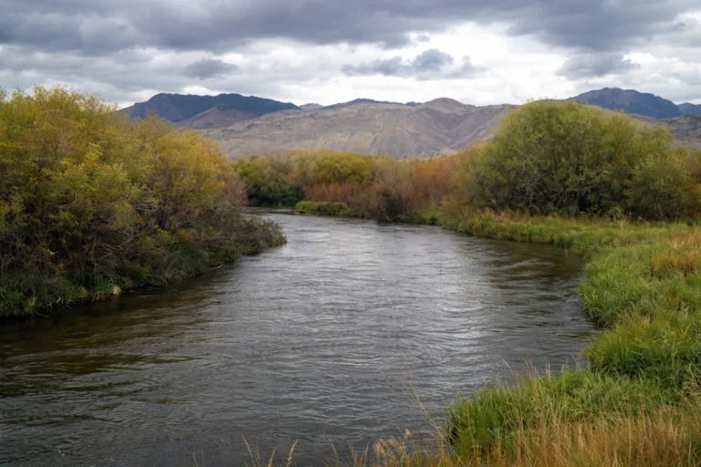 River winding through grassy and bushy landscape, mountains in the background under cloudy sky.